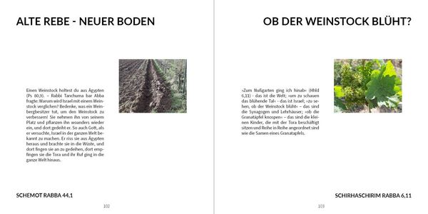 Produktbild: Wein-Weisheiten