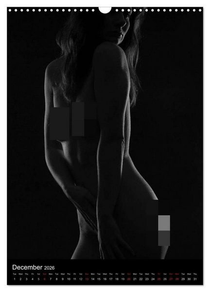 Produktbild: Erotic Silhouettes / UK-Version (Wall Calendar 2026 DIN A3 portrait), CALVENDO 12 Month Wall Calendar