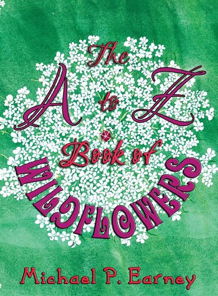 Produktbild: The A to Z Book of Wildflowers