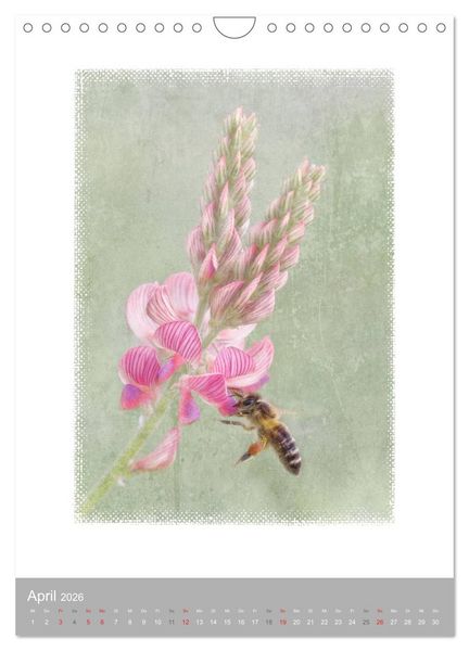 Produktbild: Kunstwerk Natur (Wandkalender 2026 DIN A4 hoch), CALVENDO Monatskalender