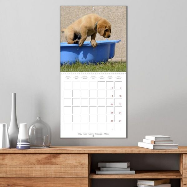 Produktbild: Labrador Retriever Puppies (Wall Calendar 2026 12 &times; 12 Inch) CALVENDO 12 Month Wall Calendar