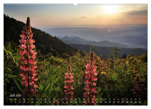 Produktbild: Faszination Schwarzwald (Wandkalender 2026 DIN A2 quer), CALVENDO Monatskalender