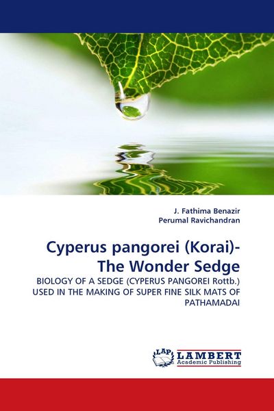 Produktbild: Cyperus pangorei (Korai)- The Wonder Sedge