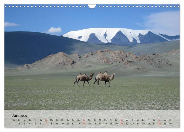 Produktbild: Kamele in der W&uuml;stensonne (Wandkalender 2026 DIN A3 quer), CALVENDO Monatskalender
