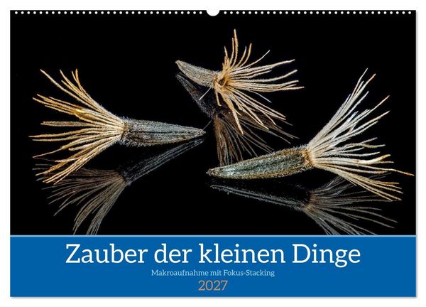 Produktbild: Zauber der kleinen Dinge (Wandkalender 2027 DIN A2 quer), CALVENDO Monatskalender