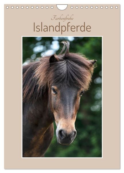 Produktbild: Farbenfrohe Islandpferde (Wandkalender 2026 DIN A4 hoch), CALVENDO Monatskalender