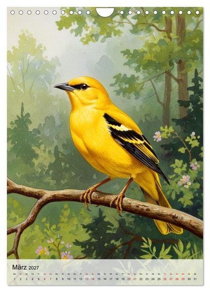 Produktbild: V&ouml;gel, die man selten sieht (Wandkalender 2027 DIN A4 hoch), CALVENDO Monatskalender