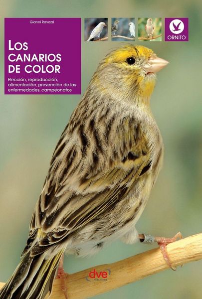 Produktbild: Los canarios de color