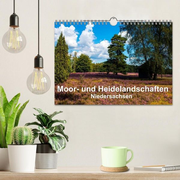 Produktbild: Moor- und Heidelandschaften Niedersachsen (Wandkalender 2027 DIN A4 quer), CALVENDO Monatskalender