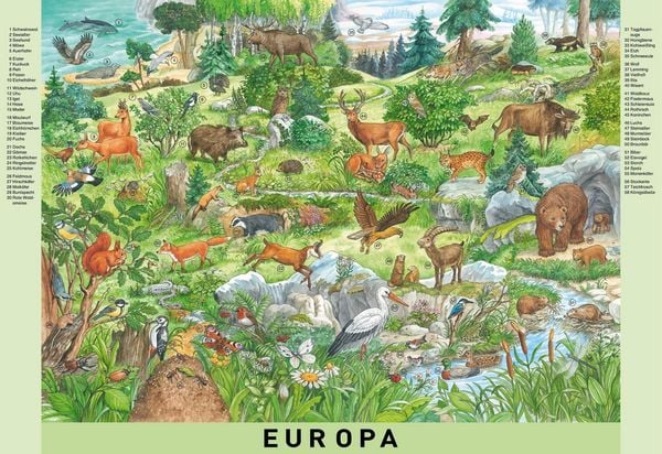 Produktbild: Mein gro&szlig;es Wimmelbuch Tiere der Welt