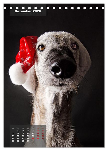 Produktbild: UNDERDOG - Windhundportraits (Tischkalender 2026 DIN A5 hoch), CALVENDO Monatskalender