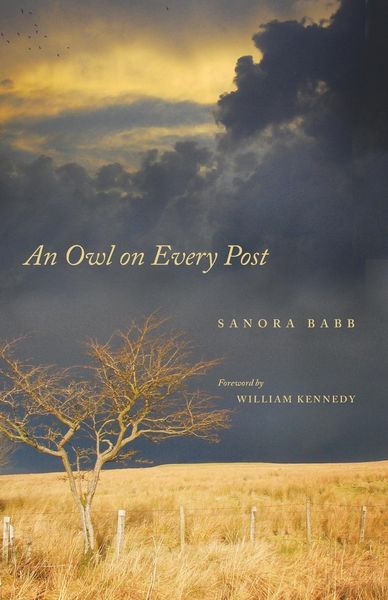 Produktbild: An Owl on Every Post