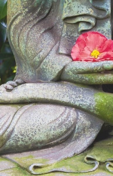 Produktbild: Der kleine Alltagsbuddhist