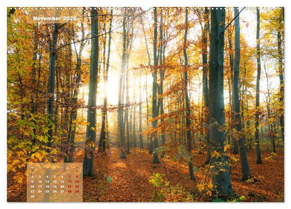Produktbild: Ein Jahr Niederrhein Momente der Natur (Wandkalender 2026 DIN A2 quer), CALVENDO Monatskalender