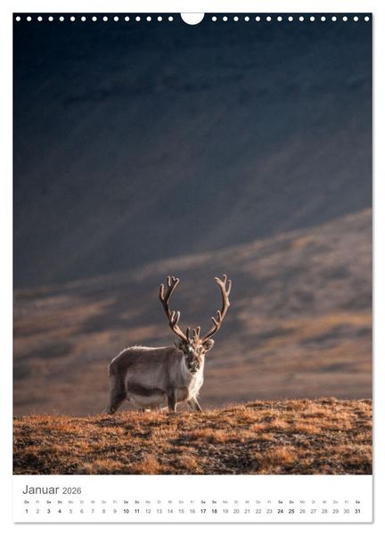 Produktbild: Die Arktis - Naturfotografien aus Spitzbergen (Wandkalender 2026 DIN A3 hoch), CALVENDO Monatskalender