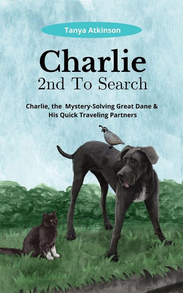 Produktbild: Charlie 2nd To Search
