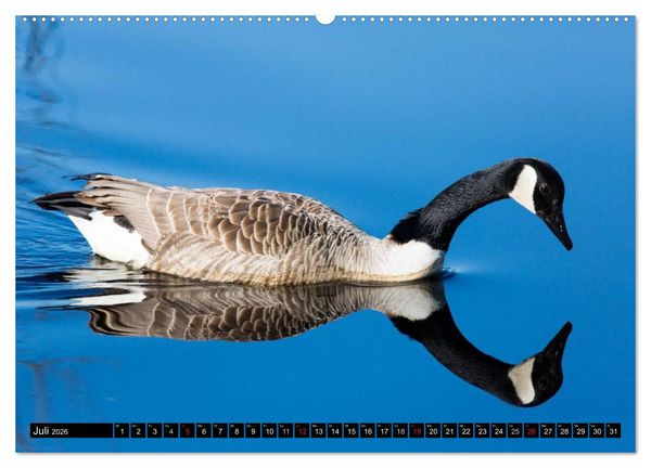 Produktbild: Gr&uuml;&szlig;e von Pellworm (hochwertiger Premium Wandkalender 2026 DIN A2 quer), Kunstdruck in Hochglanz