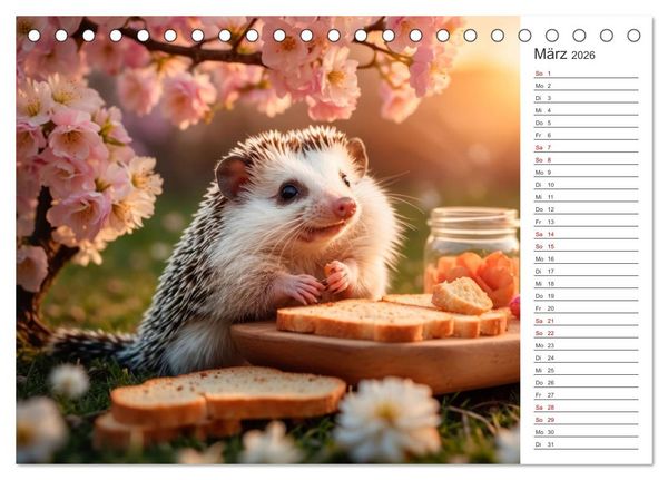 Produktbild: Stachelstars (Tischkalender 2026 DIN A5 quer), CALVENDO Monatskalender