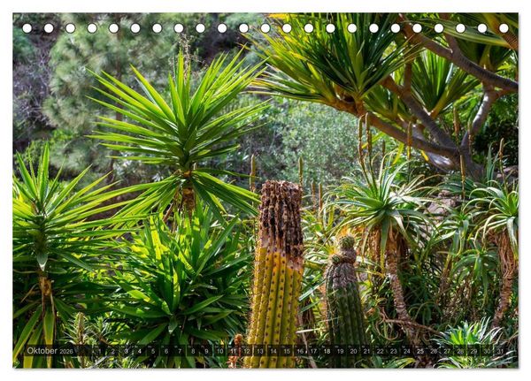 Produktbild: Grandioses Canaria (Tischkalender 2026 DIN A5 quer), CALVENDO Monatskalender