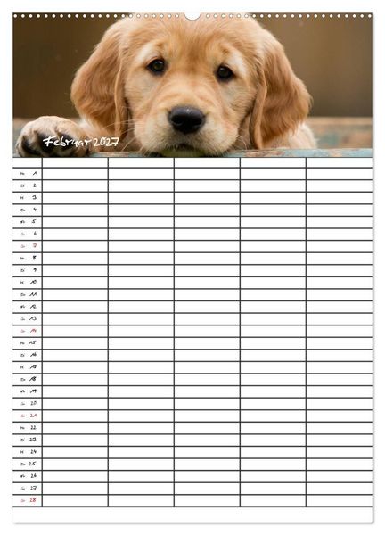 Produktbild: Familienplaner: Golden Retriever Welpen (Wandkalender 2027 DIN A2 hoch), CALVENDO Monatskalender