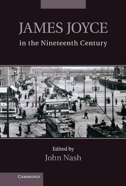 Produktbild: James Joyce in the Nineteenth Century