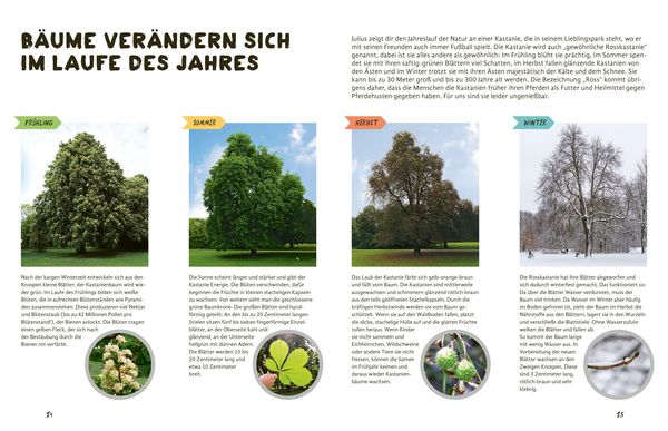 Produktbild: Julius forscht - Im Wald