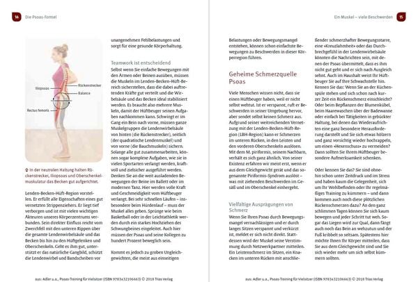 Produktbild: Psoas-Training für Vielsitzer
