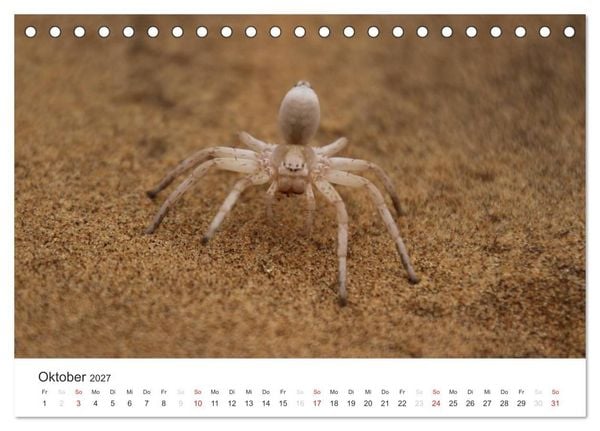 Produktbild: Namibia - Tierische Vielfalt (Tischkalender 2027 DIN A5 quer), CALVENDO Monatskalender