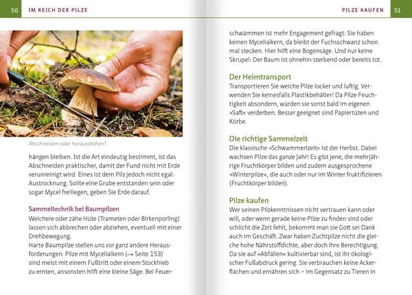 Produktbild: Heimische Heil- und Vitalpilze. Kompakt-Ratgeber