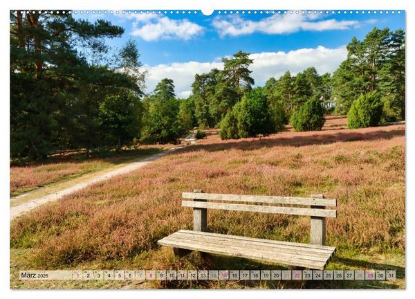 Produktbild: L&uuml;neburger S&uuml;dheide (hochwertiger Premium Wandkalender 2026 DIN A2 quer), Kunstdruck in Hochglanz