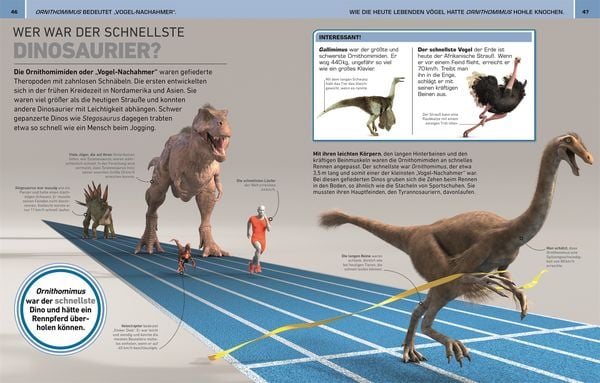 Produktbild: Total verr&uuml;ckt! Dinosaurier