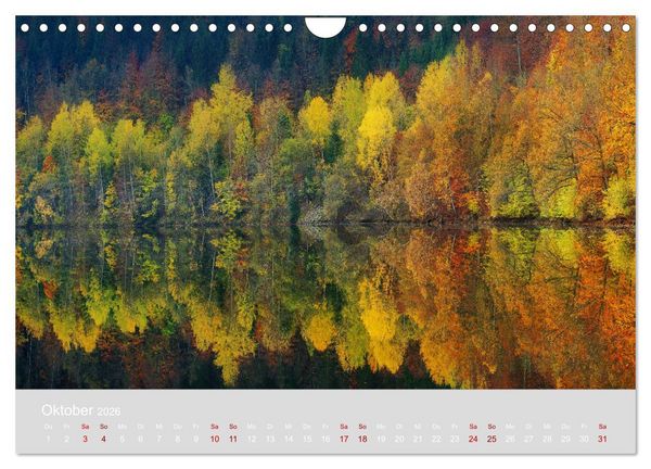 Produktbild: Im Lichtglanz der Jahreszeiten (Wandkalender 2026 DIN A4 quer), CALVENDO Monatskalender