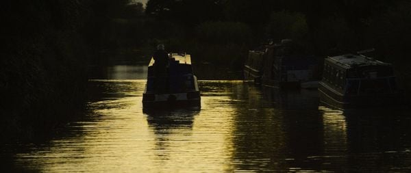Produktbild: Mutant River - Blutiger Alptraum - Uncut Edition