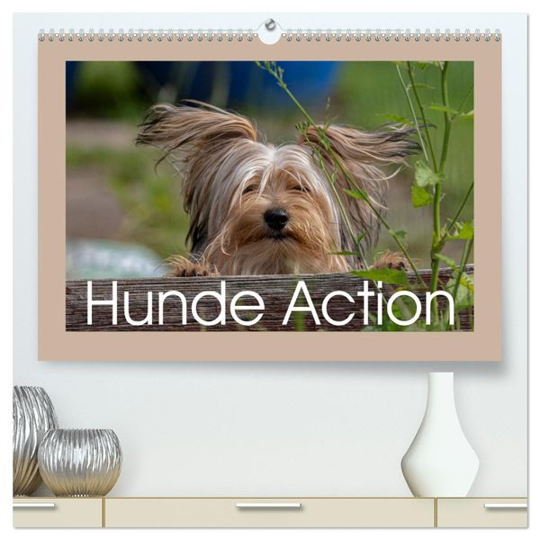 Hunde Action (hochwertiger Premium Wandkalender 2025 DIN A2 quer), Kunstdruck in Hochglanz