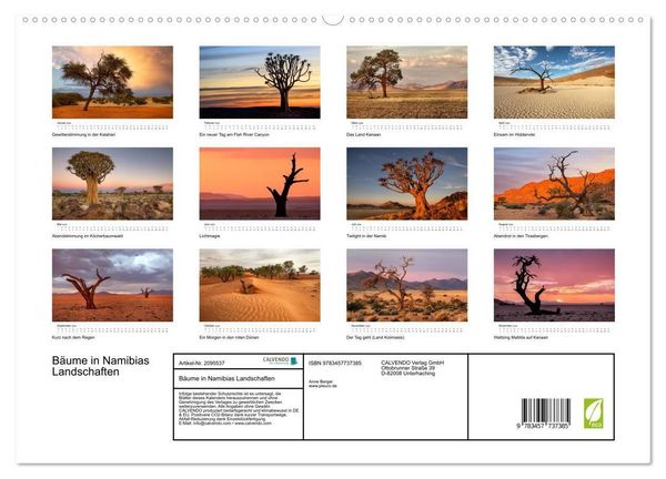 Produktbild: B&auml;ume in Namibias Landschaften (hochwertiger Premium Wandkalender 2026 DIN A2 quer), Kunstdruck in Hochglanz