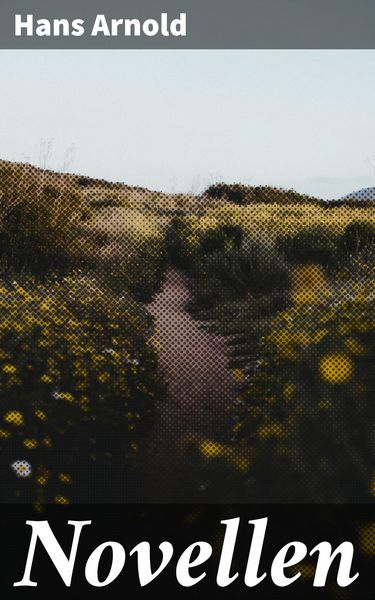Produktbild: Novellen