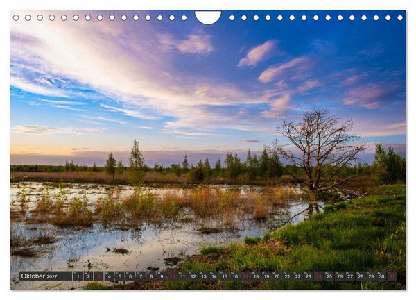Produktbild: Leben am Naturpark um den D&uuml;mmer See (Wandkalender 2027 DIN A4 quer), CALVENDO Monatskalender