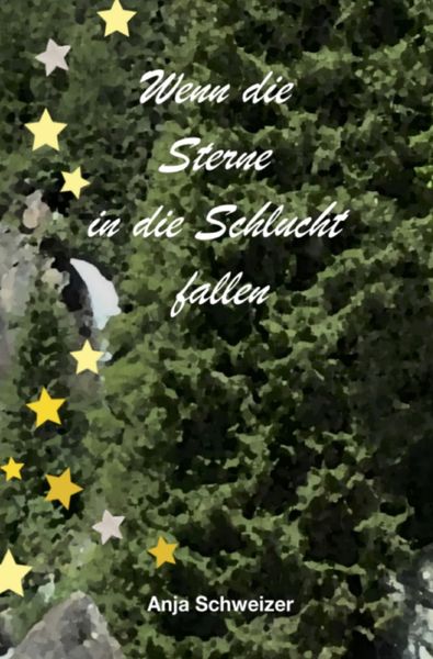 Produktbild: Wenn die Sterne in die Schlucht fallen