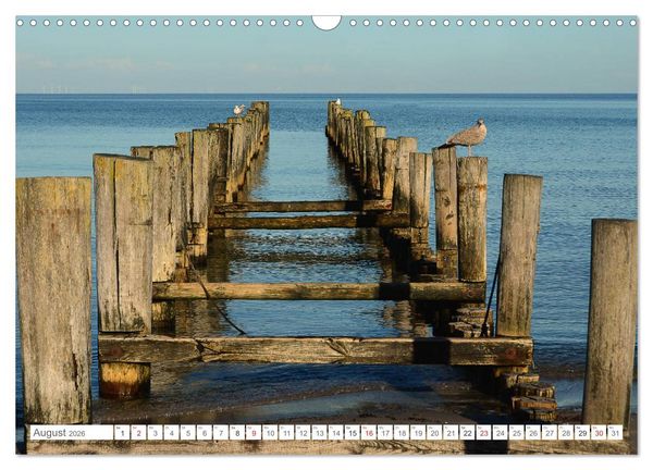 Produktbild: Faszination Fischland-Dar&szlig;-Zingst (Wandkalender 2026 DIN A3 quer), CALVENDO Monatskalender