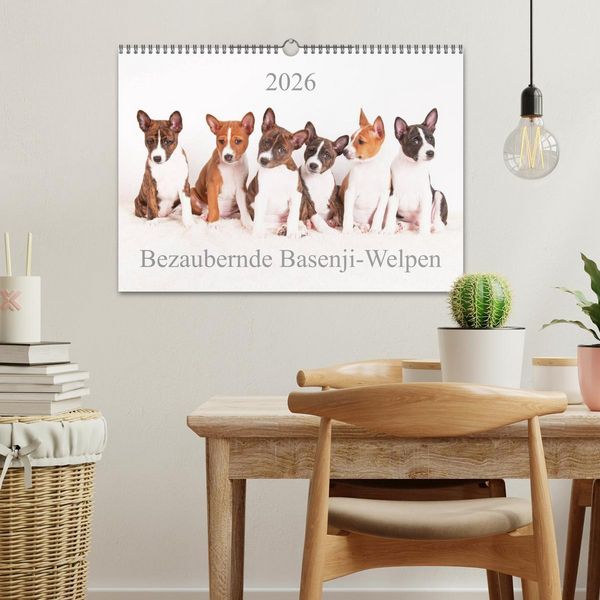 Produktbild: Bezaubernde Basenji-Welpen (Wandkalender 2026 DIN A3 quer), CALVENDO Monatskalender