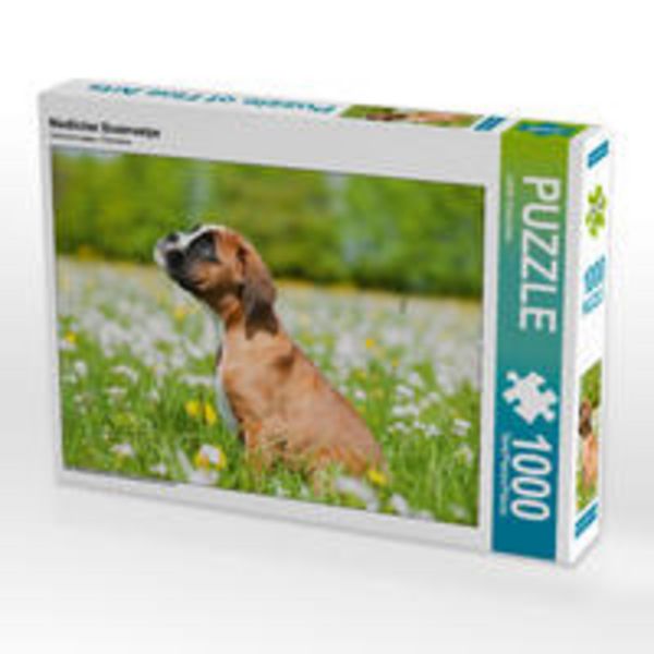 CALVENDO Puzzle Niedlicher Boxerwelpe | 1000 Teile Lege-Größe 64x48cm Foto-Puzzle für glückliche Stunden