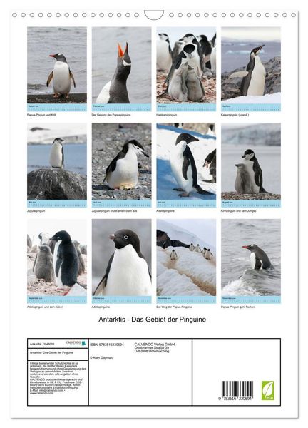 Produktbild: Antarktis - Das Gebiet der Pinguine (Wandkalender 2026 DIN A3 hoch), CALVENDO Monatskalender