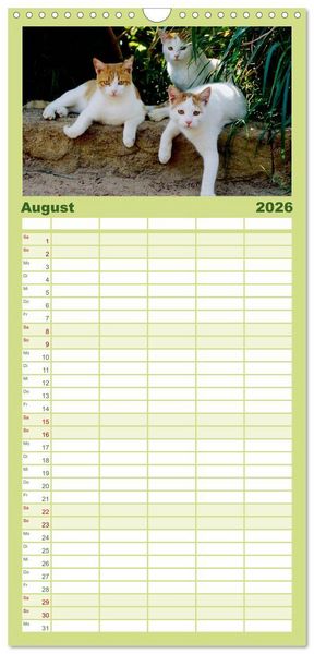 Produktbild: Familienplaner 2026 - Katzen mit 5 Spalten (Wandkalender, 21 x 45 cm) CALVENDO
