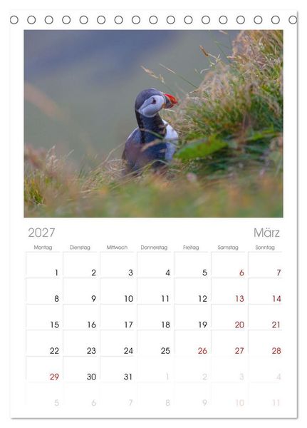 Produktbild: Tischplaner 2027 - Naturwunder in Island (A5 Tischkalender zum Aufstellen) CALVENDO