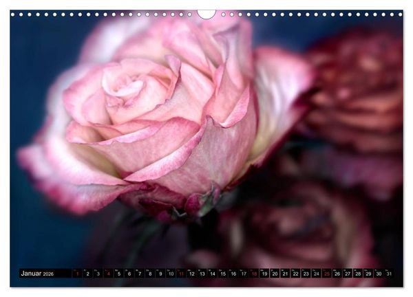 Produktbild: Flowers / 2026 (Wandkalender 2026 DIN A3 quer), CALVENDO Monatskalender