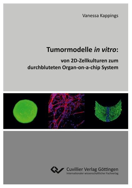 Produktbild: Tumormodelle in vitro