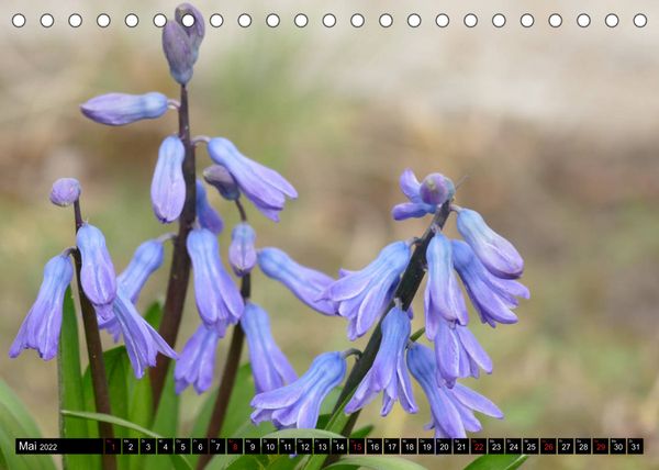 Produktbild: Fr&uuml;hling und Sommer (Tischkalender 2022 DIN A5 quer)