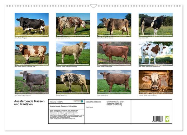 Produktbild: Aussterbende Rassen und Rarit&auml;ten (Wandkalender 2026 DIN A2 quer), CALVENDO Monatskalender