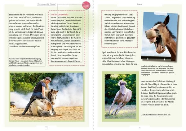 Produktbild: Enrichment f&uuml;r Pferde