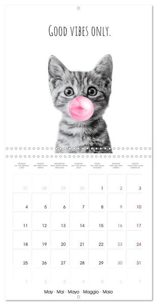 Produktbild: Purrfectly Cool Cats (Wall Calendar 2026 12 &times; 12 Inch) CALVENDO 12 Month Wall Calendar